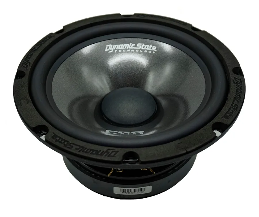 Мидвуфер Dynamic State PM-200.3 PRO Series   - фото