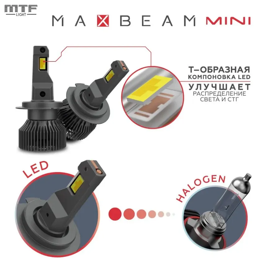 изображение_2024-11-05_041556233