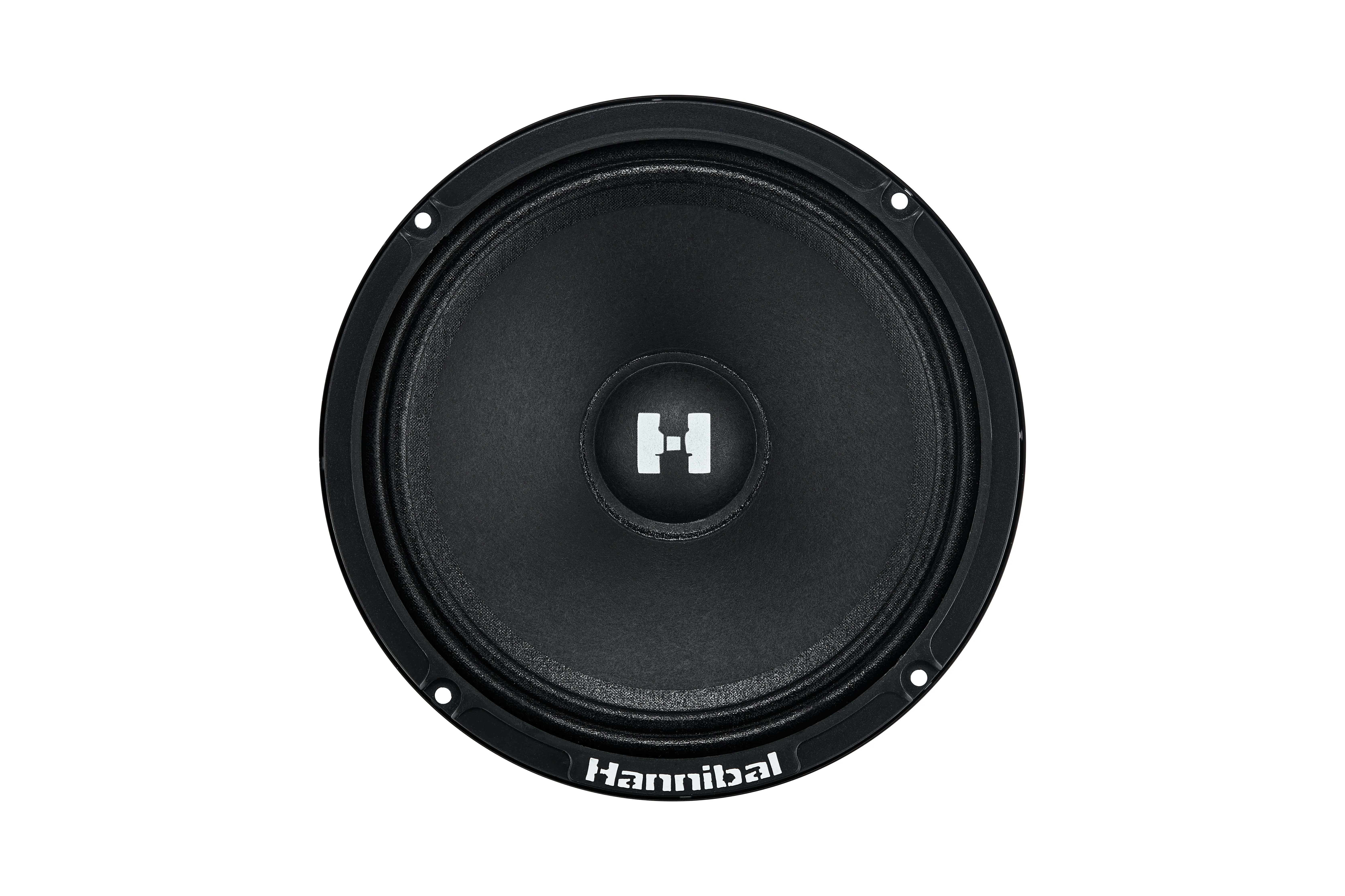 СЧ динамики Deaf Bonce Hannibal HM-6E+ - фото