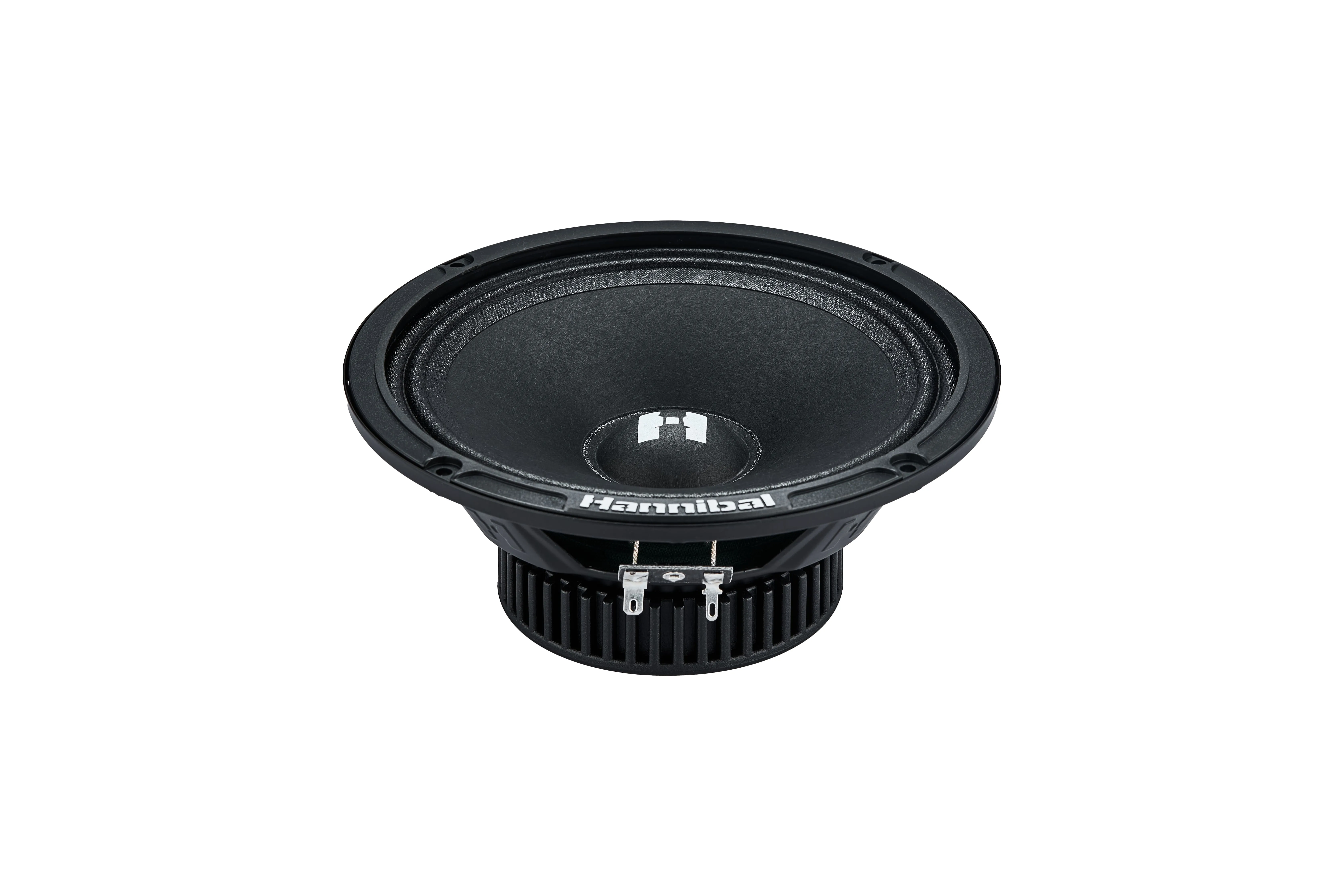 СЧ динамики Deaf Bonce Hannibal HM-6E+ - фото