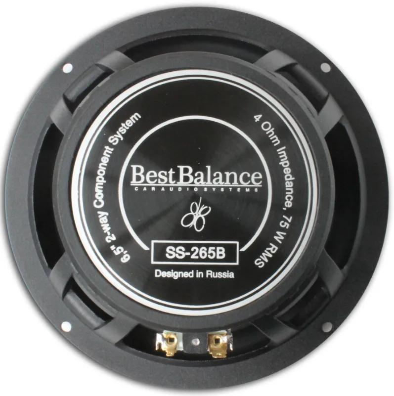 Акустика компонентная Best Balance SS-265B - фото