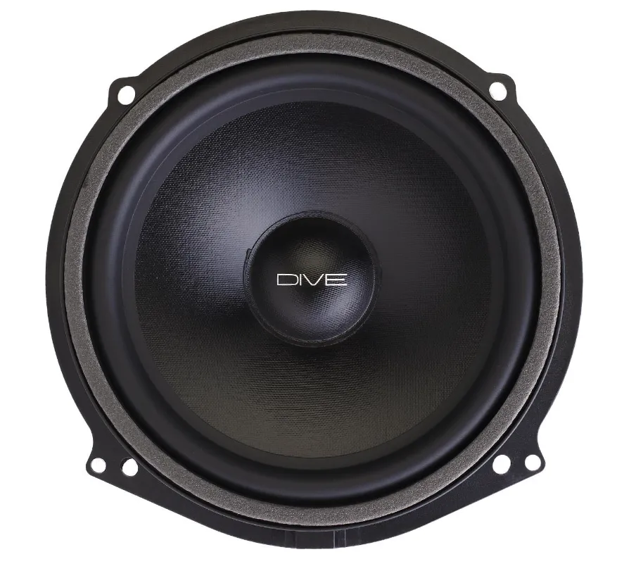 Акустика штатная Dynamic State DAU-W202 - фото